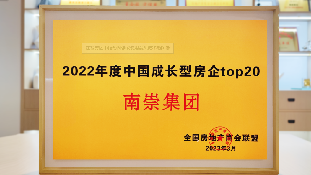 2022年度中國成長型房企top20